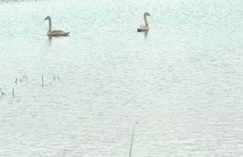 Domek na Skarpie nr 1 Łutynowo gmina Olsztynek - Foto 29