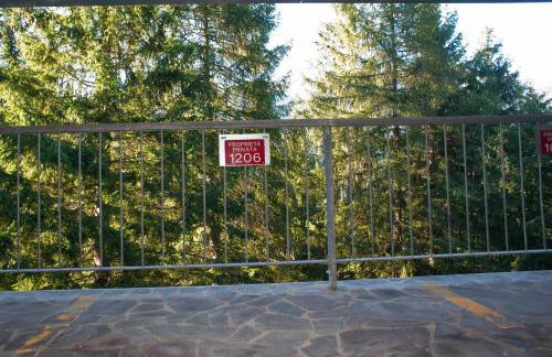 Ale 1206, Marilleva 1400 accesso diretto alle piste - Foto 38