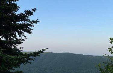 Άγρια Λούλουδα Κατοικία Ευτυχία - Photo 68