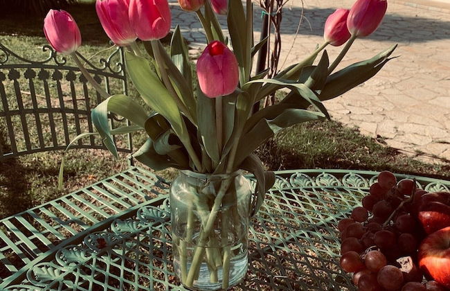 VILLA AZZURRA - Foto 34