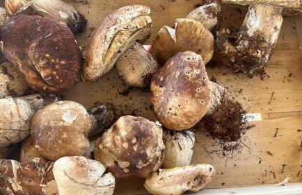 Residenza 1898 - Foto 46