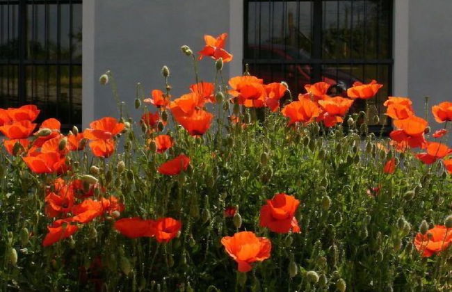 Casa Isabella - Foto 50