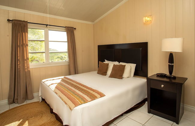 South Coast Horizons - Photo 13