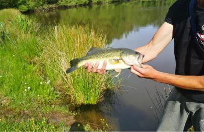La Tiny House Terra Nostra - Foto 24