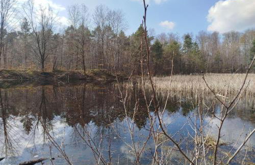 Ferienhaus Himmelsscheibe - Foto 30