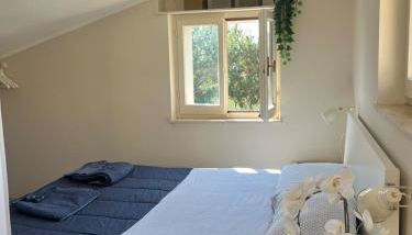 La terrazza sul Golfo - Foto 3