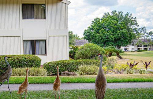Matchless Luxury II on Mill Pond - Foto 43