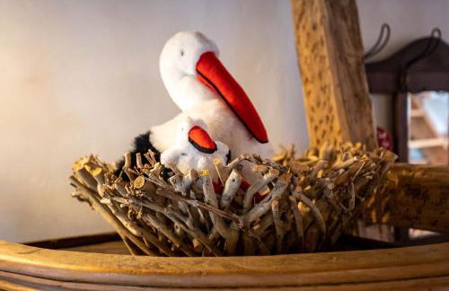 La maison alsacienne Strasbourg - Foto 41