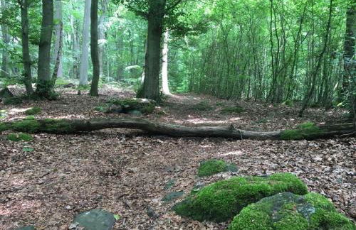 Cozy Apartment in Ellar With Garden - Foto 94