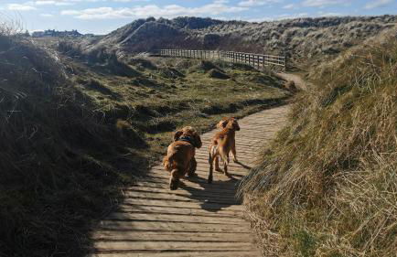 Cozy at the Causeway - Foto 16