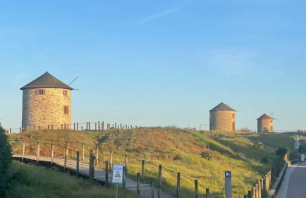 Quinta da Barca Golf River by Sé Apartamentos - Foto 23