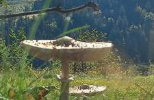 Apartamenty w Dolinie Gościna - Foto 51