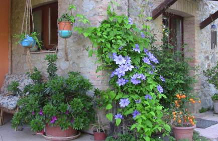 Agriturismo Frallarenza - Foto 45