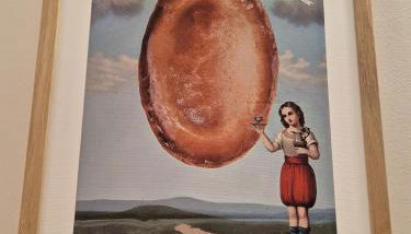 Casa Picci Case Vacanze Gallipoli - Foto 5