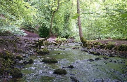 Violet Bank Apartment Morningside - Foto 23