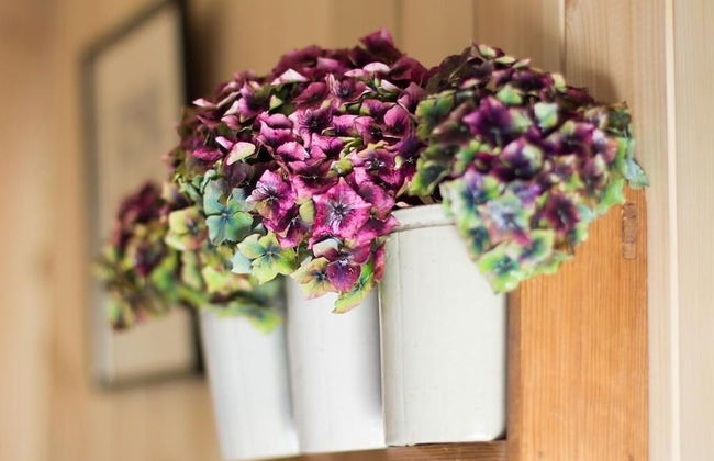 Siabod Huts - Foto 4