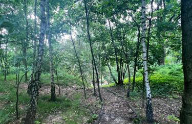 Apartament Podedworze - Foto 14