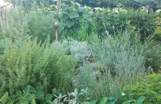 Magdalena at the Urbanhof - Foto 12