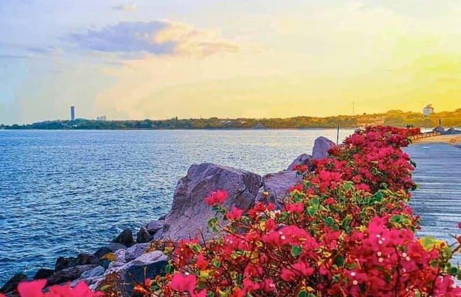 The Golf-view Condo by Acomodo - Foto 36