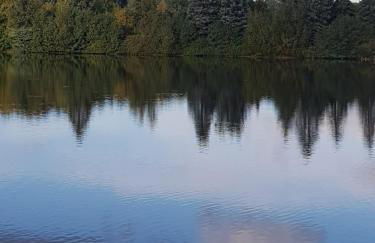 Waldbadhäusel Naturbad-Bungalow - Photo 11