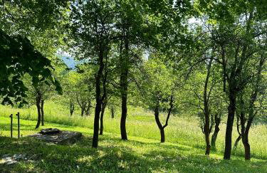 Apartments Jezerce 28 - Foto 21