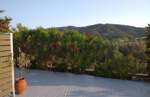 Oasis Apartments - Photo 34