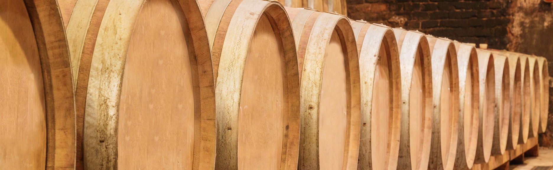 Tour in Cenicero - Photo 1