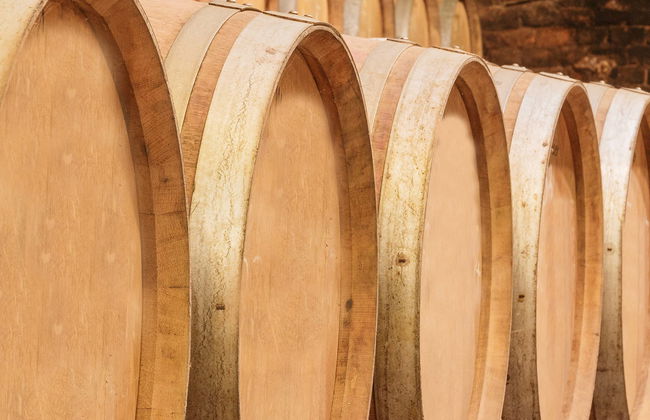 Tour in Cenicero - Photo 1