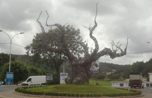 Apartamento KumiKata - Foto 58