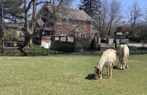 Beautiful Equestrian Estate home w/ Hot Tub! - Foto 73