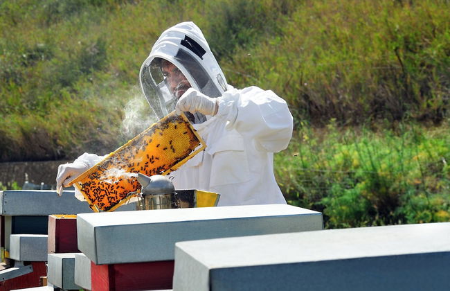 Agriturismo Villa Dafne - Photo 38