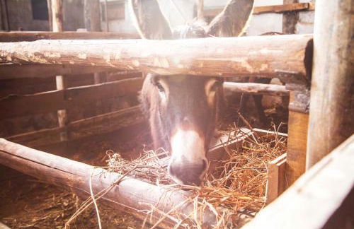 Agriturismo Fassi - Foto 32