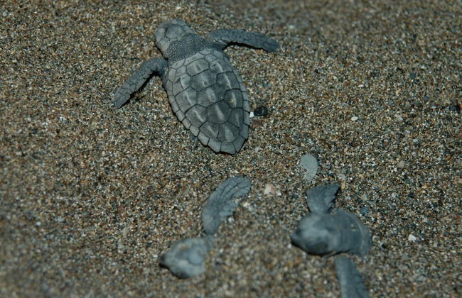 Minta Apart - Foto 45