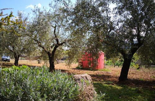 Villa Walter - Foto 31