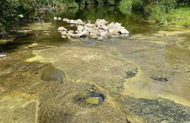 Cabin 1 Remote cabin next to Sam Houston National Forest - Foto 19
