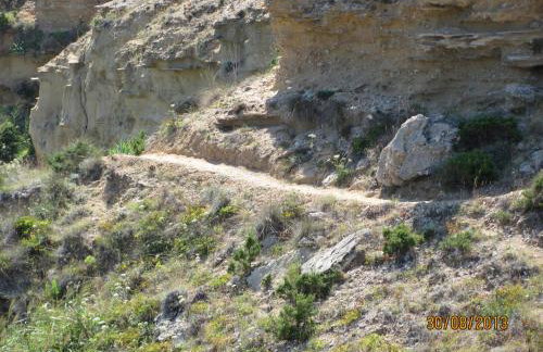 Apartmani Vesna - Photo 4