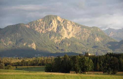 Seeleitenhof - Foto 41