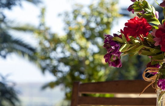 Agriturismo Baglio Vecchio - Foto 52