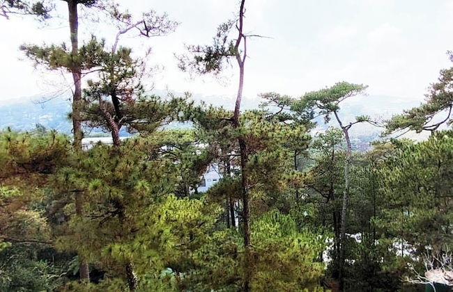 Premier Family Studio Room Baguio Near The Mansion - Wifi - Parking - Foto 11