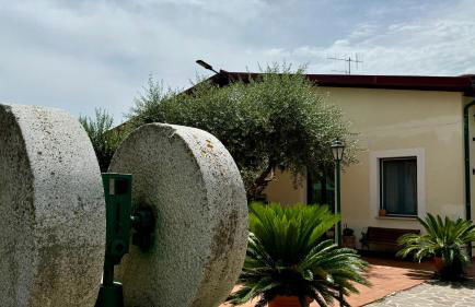 Agriturismo Le Macine-Poggio Cono - Foto 20