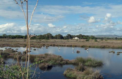 Victory Village T1 & Rooftop terrace - Foto 34