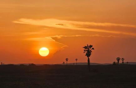 Kza da Paty Preá dEla - Foto 36