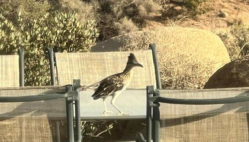 Mountainside Retreat - Foto 2