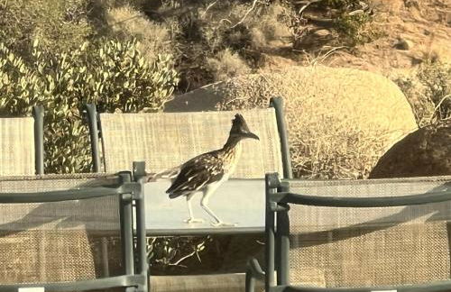 Mountainside Retreat - Foto 2