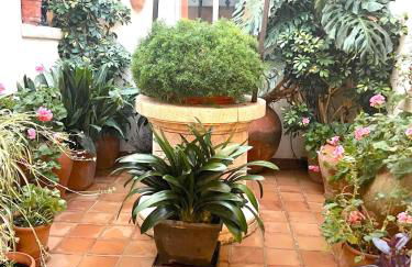 Villa Alexia Apartments Coral 2nd Floor stairs 1BR Pool view 9 min to Sea 5min to Town AT1833 - Foto 24