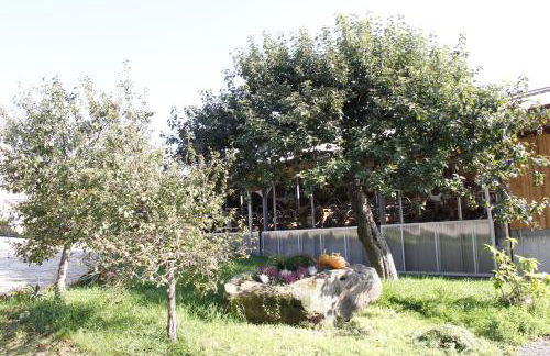 Ferienhof Harr - Foto 23