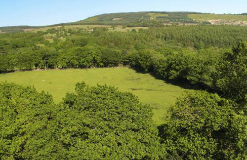 Bwthyn Y Saer - Foto 11