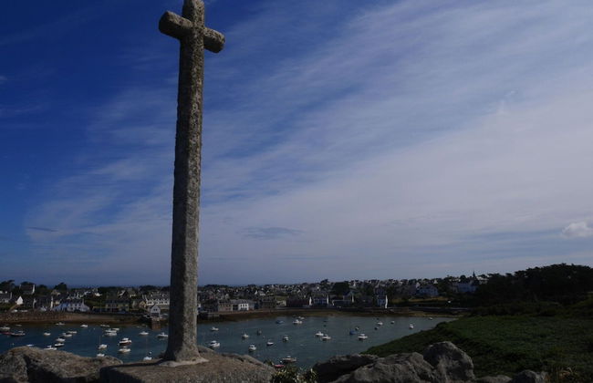 Holiday Home in Ploudalmyzeau - Foto 24