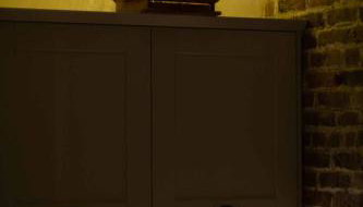 The Potted Pineapple - Foto 5