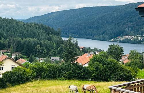 Stone Lake Luxury Lodge - Foto 57